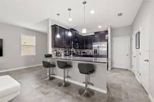 13233 CANOPY CREEK DRIVE, TAMPA, FL 33625 Sold 10/27/23