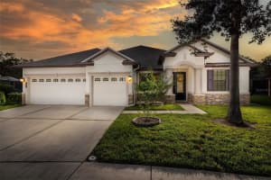 7945 HAMPTON LAKE DRIVE, TAMPA, FL 33647 Sold 10/31/23