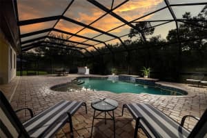 7945 HAMPTON LAKE DRIVE, TAMPA, FL 33647 Sold 10/31/23