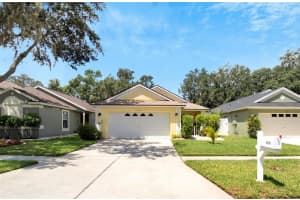 6733 SUMMER HAVEN DRIVE, RIVERVIEW, FL 33578 Sold 10/10/23