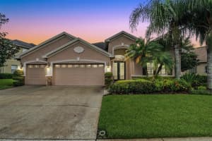 3104 STONEGATE FALLS DRIVE, LAND O LAKES, FL 34638 Sold 10/13/23