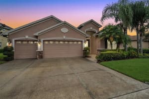 3104 STONEGATE FALLS DRIVE, LAND O LAKES, FL 34638 Sold 10/13/23