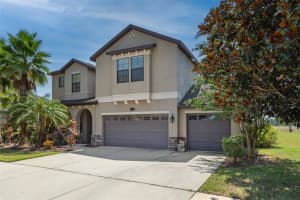 10605 MISTFLOWER LANE, TAMPA, FL 33647 Sold 02/15/24