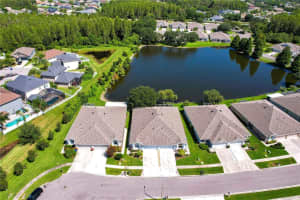 19239 GOPHERTRAIL PLACE, LAND O LAKES, FL 34638 Sold 12/15/23