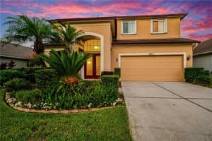 19311 SEACOVE DRIVE, LUTZ, FL 33558 Sold 09/29/23