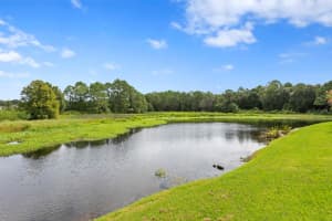 10025 CYPRESS SHADOW AVENUE, TAMPA, FL 33647 Sold 10/16/23