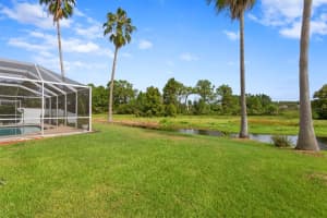 10025 CYPRESS SHADOW AVENUE, TAMPA, FL 33647 Sold 10/16/23