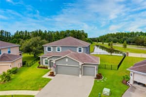 6025 CAPE LOOP, LAND O LAKES, FL 34639 Sold 12/28/23