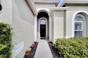 6743 WILD ELM COURT, WESLEY CHAPEL, FL 33545 Sold 10/09/23