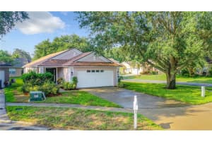 6815 SUMMER COVE DRIVE, RIVERVIEW, FL 33578 Sold 09/29/23