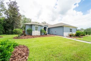 6204 KINGBIRD MANOR DRIVE, LITHIA, FL 33547 Sold 05/15/24