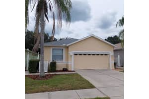 8049 Sanguinelli Rd, LAND O LAKES