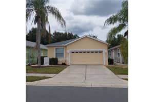 8049 SANGUINELLI ROAD, LAND O LAKES, FL 34637 - MLS#MFRT3468887