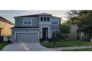 19330 WATER MAPLE DRIVE, TAMPA, FL 33647 Sold 04/04/24