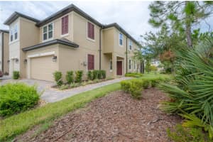 2539 STAPLEFORD PLACE, WESLEY CHAPEL, FL 33543 Sold 12/28/23