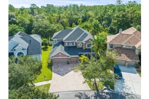 11668 RENAISSANCE VIEW COURT, TAMPA, FL 33626 Sold 10/06/23