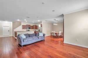 8605 FIDDLELEAF COURT, TAMPA, FL 33647 Sold 11/21/23
