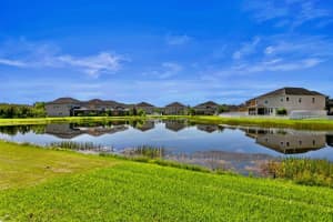 19427 PADDOCK VIEW DRIVE, TAMPA, FL 33647 Sold 10/13/23