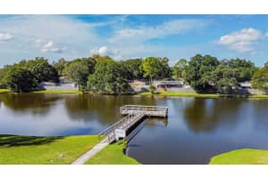3803 OAK DRIVE, TAMPA, FL 33611 Sold 01/22/24