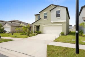 17935 BLISSFUL STAR DRIVE, LUTZ, FL 33558 Sold 07/10/24