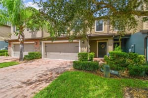 17286 OLD TOBACCO ROAD, LUTZ, FL 33558 Sold 11/30/23