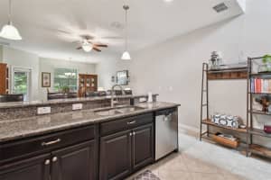 17286 OLD TOBACCO ROAD, LUTZ, FL 33558 Sold 11/30/23