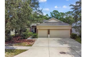 19215 PELICAN RIDGE LANE, TAMPA, FL 33647 Sold 11/16/23