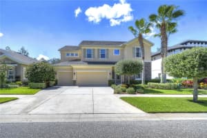 11701 ARBOR MEAD AVENUE, RIVERVIEW, FL 33569 Sold 03/06/24