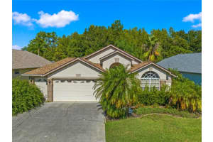 8209 SANGUINELLI ROAD, LAND O LAKES, FL 34637 Sold 10/18/23