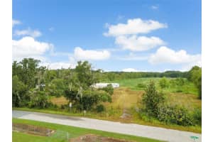 3636 PORTER ROAD, LITHIA, FL 33547 Sold 03/11/25