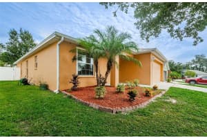 36035 LAGUNA HILLS CIRCLE, ZEPHYRHILLS, FL 33541 Sold 11/16/23