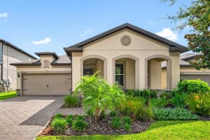 18744 BIRCHWOOD GROVES DRIVE, LUTZ, FL 33558 Sold 11/09/23