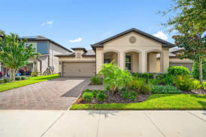 18744 BIRCHWOOD GROVES DRIVE, LUTZ, FL 33558 Sold 11/09/23