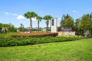18744 BIRCHWOOD GROVES DRIVE, LUTZ, FL 33558 Sold 11/09/23