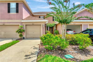 10131 TRANQUILITY WAY, TAMPA, FL 33625 Sold 12/04/23