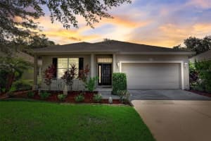 11754 COLONY LAKES BOULEVARD, NEW PORT RICHEY, FL 34654 Sold 10/31/23