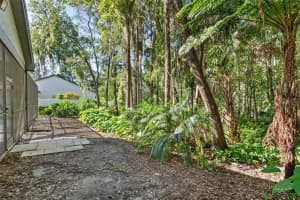 3711 REDWOOD DRIVE, LAND O LAKES, FL 34639 Sold 11/06/23