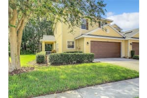 20126 INDIAN ROSEWOOD DRIVE, TAMPA, FL 33647 Sold 10/17/23