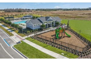 28853 SEEDLING STREET, WESLEY CHAPEL, FL 33543 Sold 02/16/24