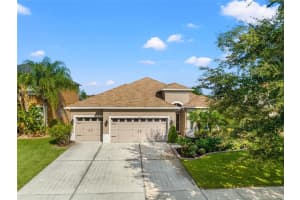 31245 BRIDGEGATE DRIVE, WESLEY CHAPEL, FL 33545 Sold 03/15/24