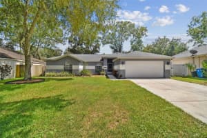 24248 PAINTER DRIVE, LAND O LAKES, FL 34639 Sold 12/29/23
