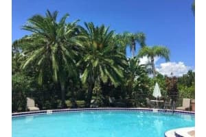 1009 BAYSHORE BOULEVARD, SAFETY HARBOR, FL 34695 Sold 11/16/23
