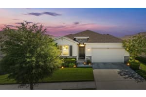 13229 WATERLEAF GARDEN CIRCLE, RIVERVIEW, FL 33579 Sold 12/11/23