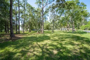 8701 HART LANE, TAMPA, FL 33635 Sold 08/11/25