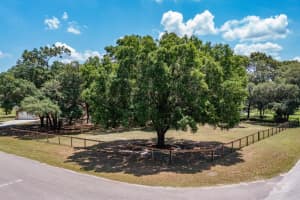 31834 GLENHOLLOW ROAD, WESLEY CHAPEL, FL 33543 Sold 11/02/23