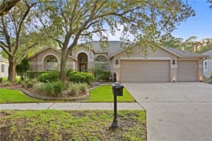 10750 Ayshire Dr, TAMPA