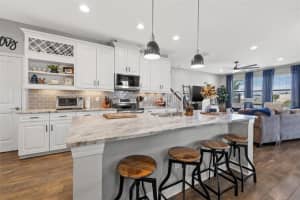11640 CROWNED SPARROW LANE, TAMPA, FL 33626 Sold 10/20/23