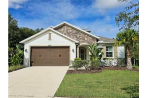 16320 Hyde Manor Dr, TAMPA