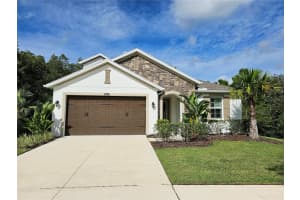 16320 HYDE MANOR DRIVE, TAMPA, FL 33647 - MLS#MFRT3471798