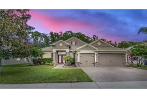 8846 CRYSTAL CREEK COURT, LAND O LAKES, FL 34638 Sold 01/26/24